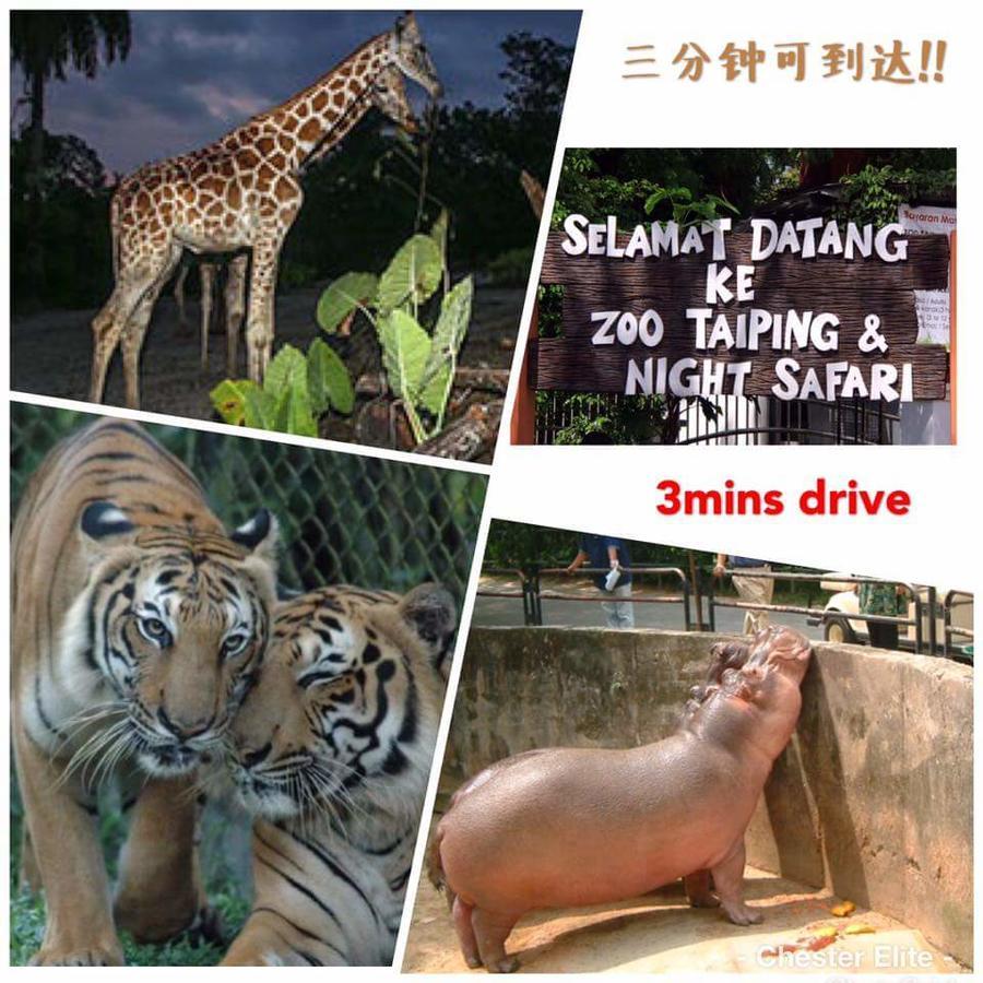 Taiping Homestay Ngoại thất bức ảnh